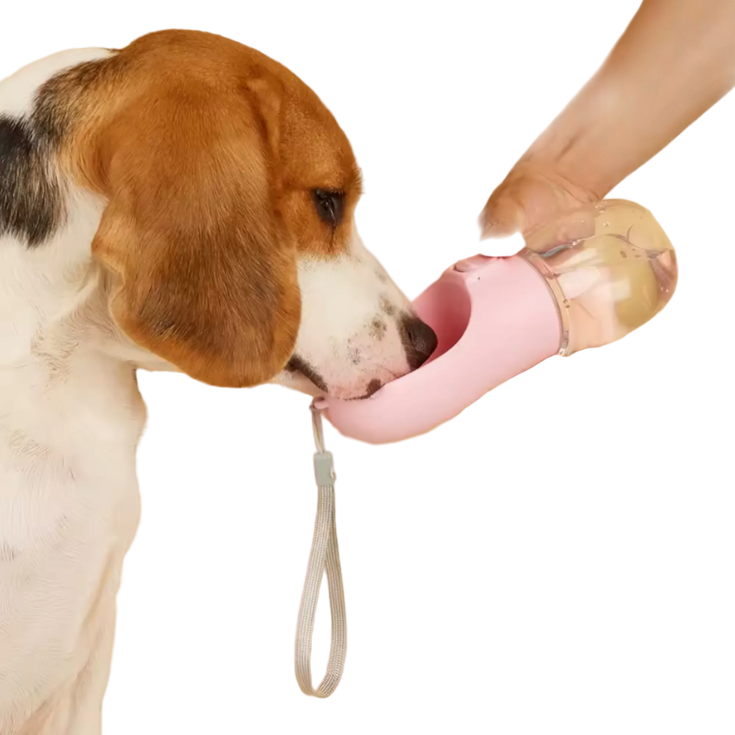 BOTELLA PARA TU MASCOTA