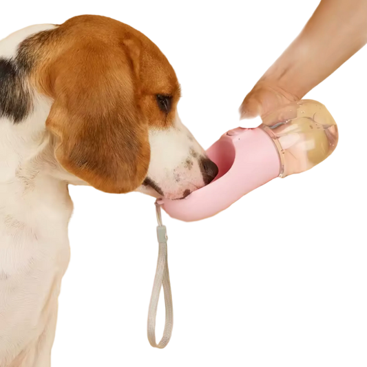 BOTELLA PARA TU MASCOTA