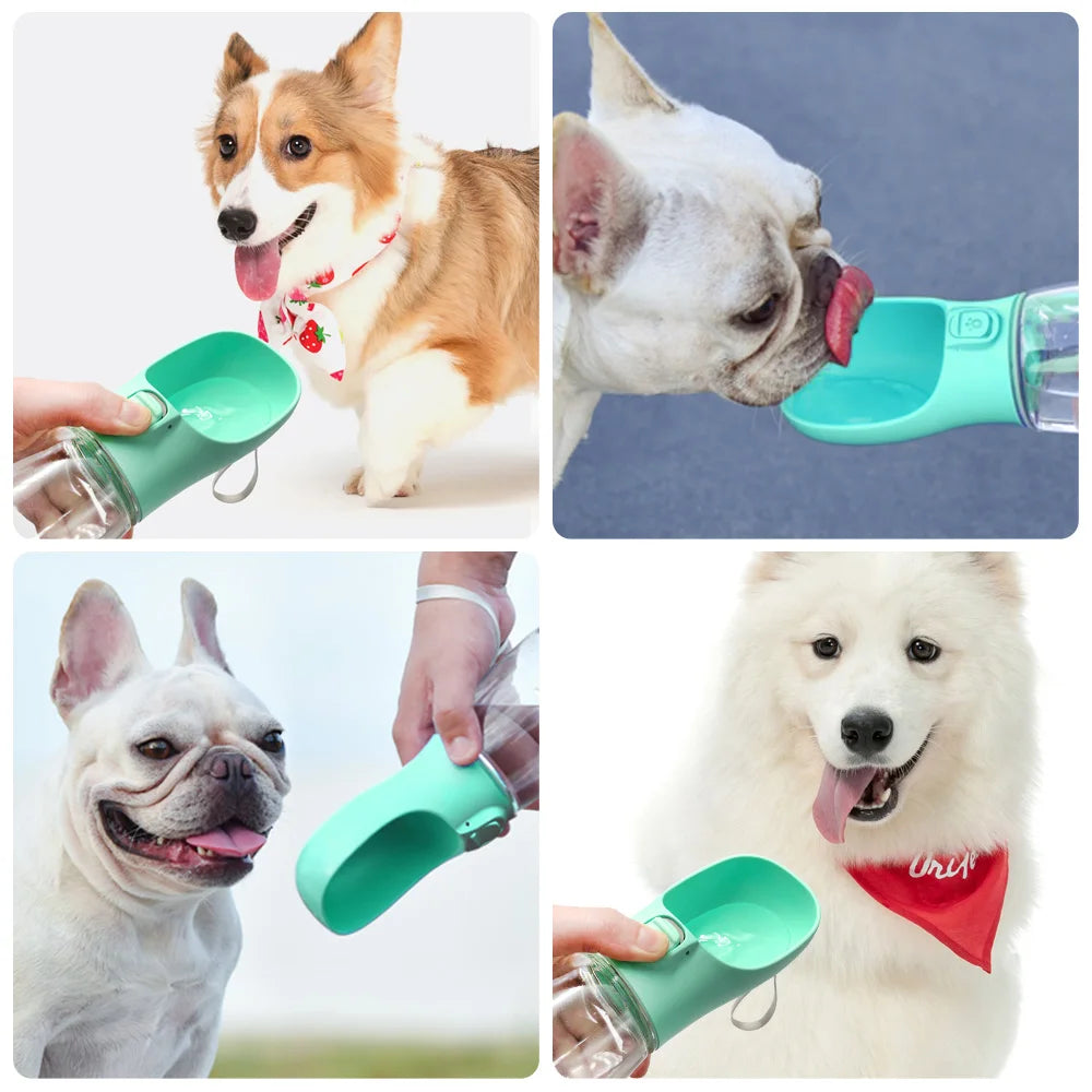 BOTELLA PARA TU MASCOTA